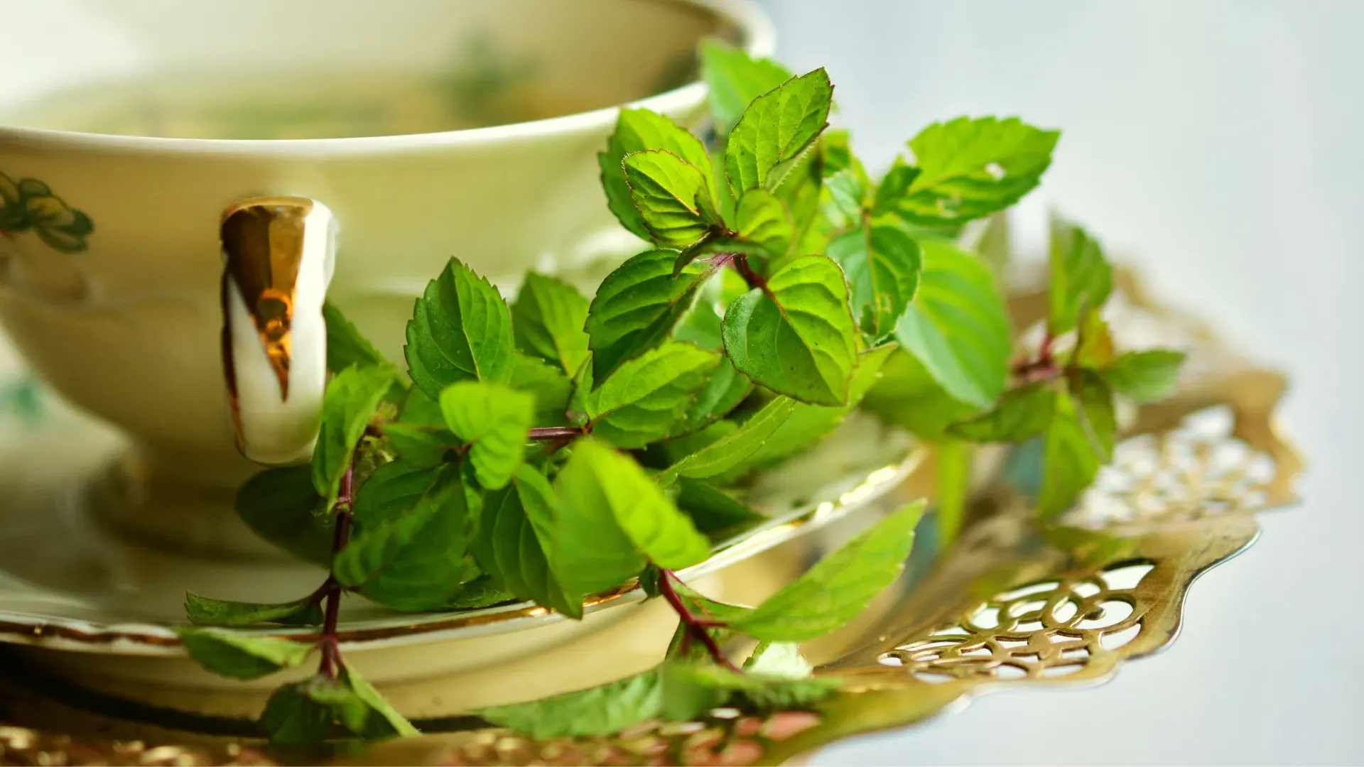A brief history of the cultural significance of mint tea