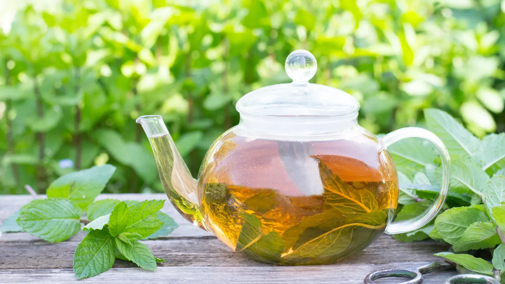 How to make the perfect cup of mint tea every time