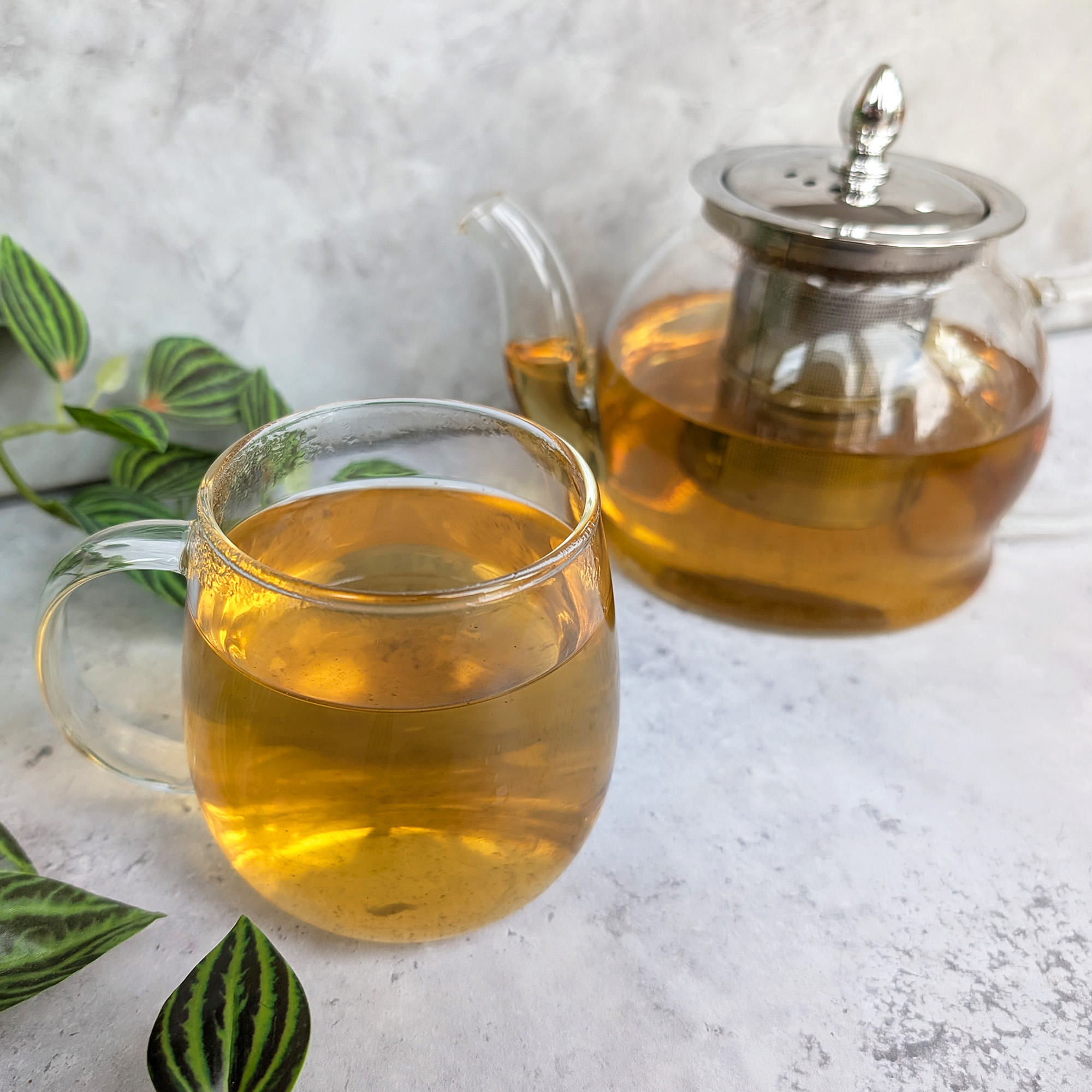 pure mint tea blend brewed tea photo